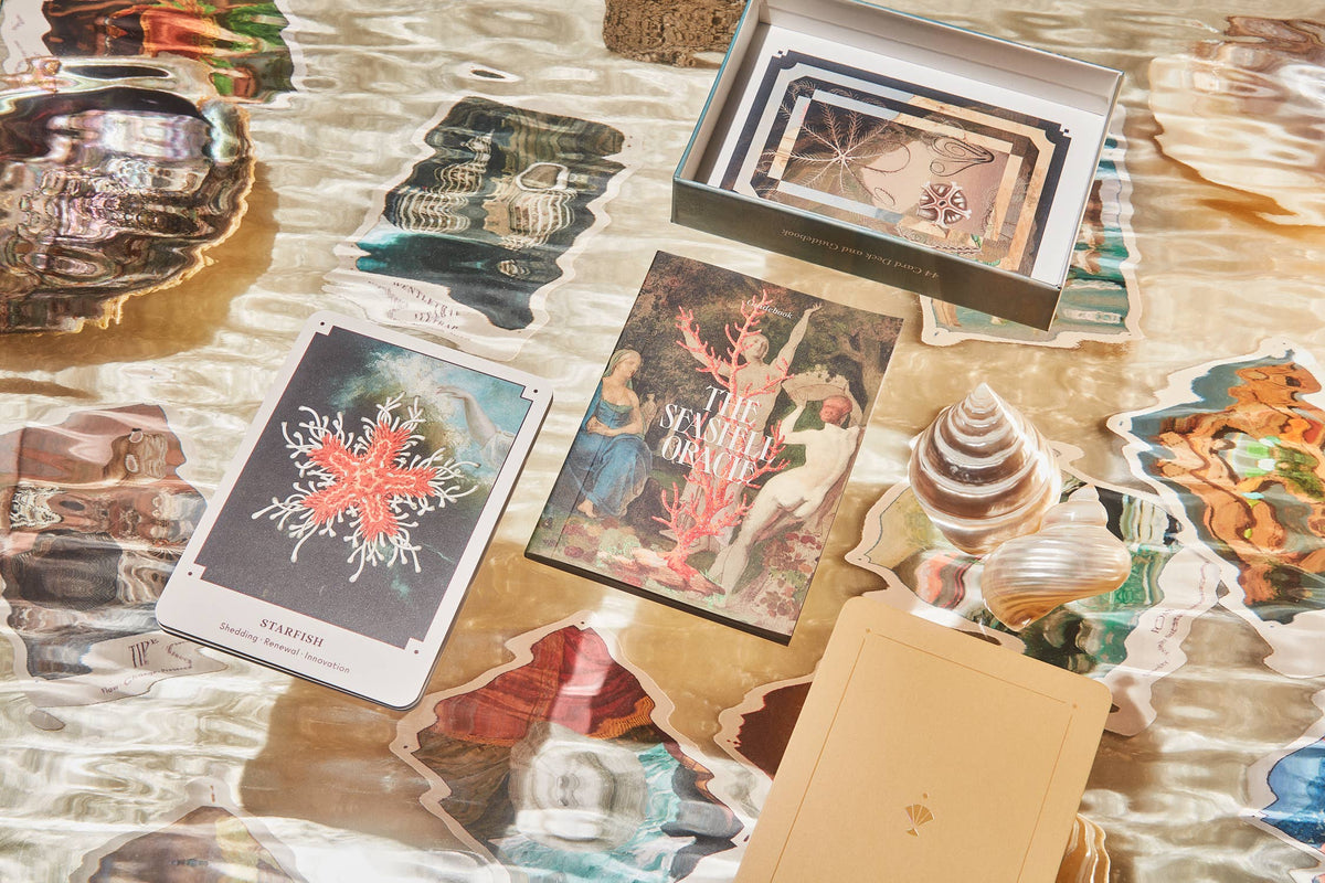 Sea Shell Oracle Pathfinder The Seashell Oracle: 44 Card Deck and Guidebook – Orange and Blue Co.