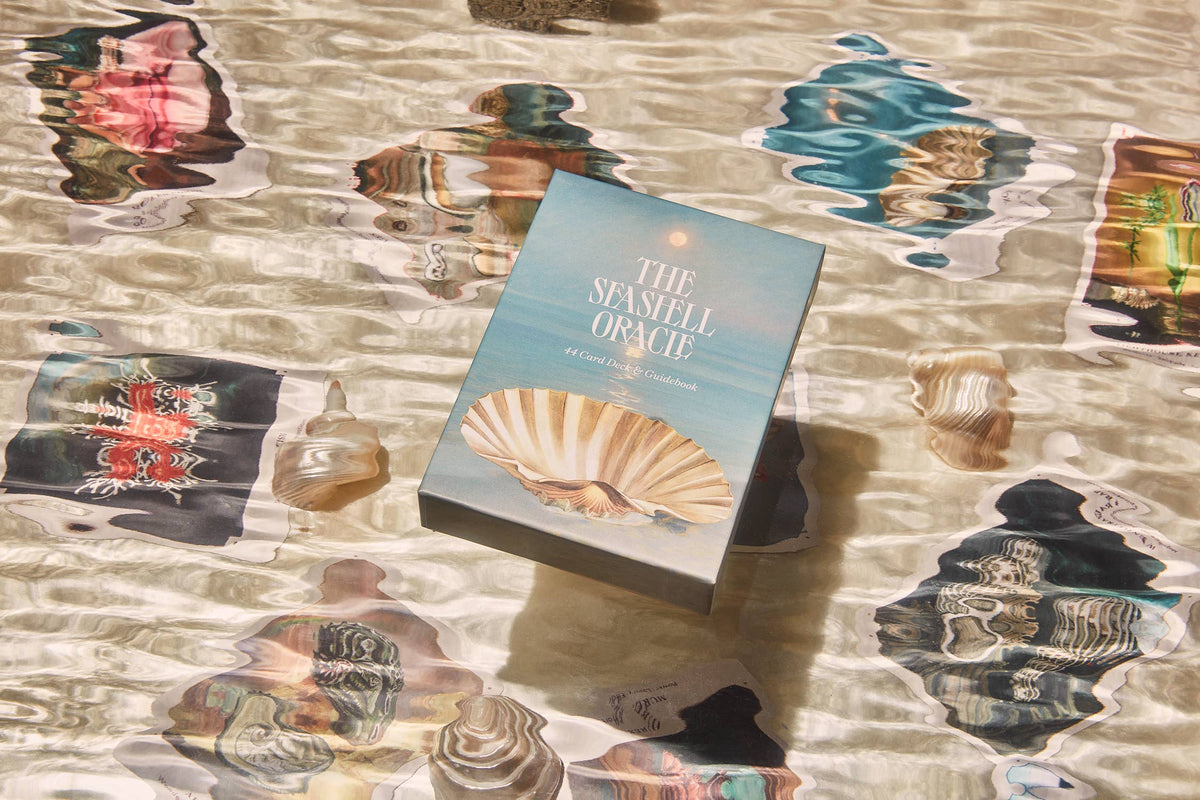 Sea Shell Oracle Pathfinder The Seashell Oracle: 44 Card Deck and Guidebook – Orange and Blue Co.